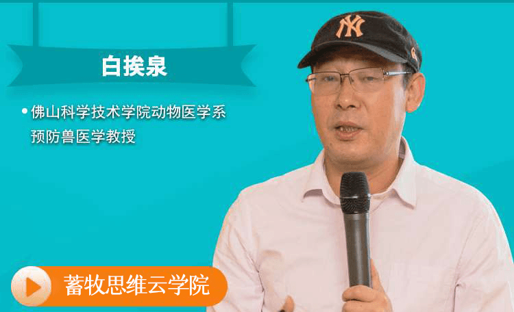 白挨泉：非洲猪瘟防控与复养技术要点