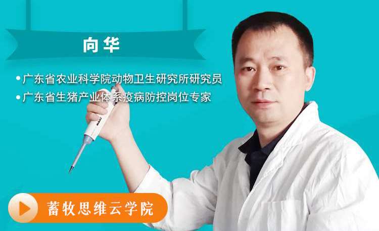 向华：非洲猪瘟形势下猪场生物安全体系构建