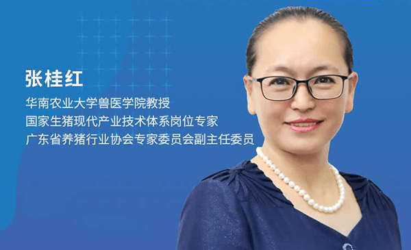 张桂红：非洲猪瘟下的猪场复产与升级