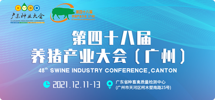 【回放|48届养猪产业大会】种猪拍卖（12月13日下午）
