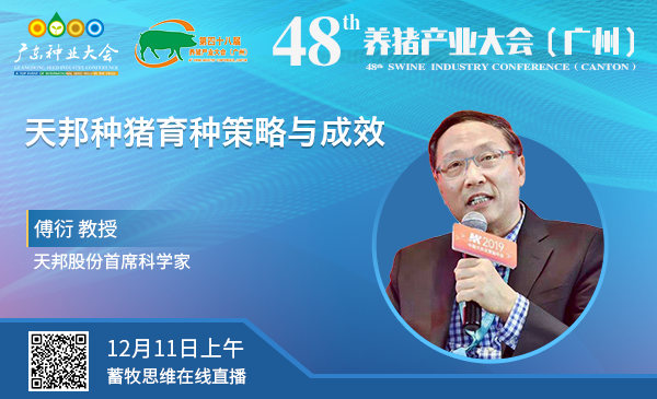 【回看|48届养猪产业大会】傅衍：天邦种猪育种策略与成效（12月11日上午）