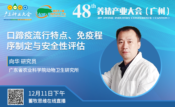 【回放|48届养猪产业大会】向华：口蹄疫流行特点、免疫程序制定与安全性评估（12月11日下午）